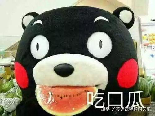 吃瓜群众英文热词的解释是什么,Decoding the Buzz: Unraveling the Meanings Behind Popular English Hot Words